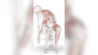 "Unlock Your Core: Quadratus Lumborum Stretching Routine for Back Relief" #stretching