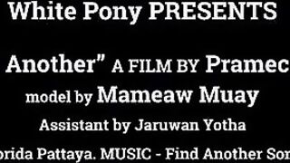 MaMeaw Muay "Sweet Dream" Bikini try on lookbook outfit