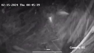 Surveillance video shows vehicle slam into Florida yoga studio then drive off