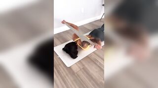 GET MOBILE AND FLEXIBLE SHOULDERS WITH JUST A TOWEL ????#fitness #mobility #workout #stretching #viral