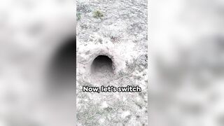 Armadillo Armor: The Flexible Fortress