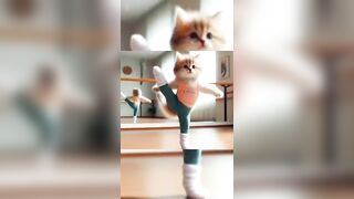 Yoga Cats ???? #shorts