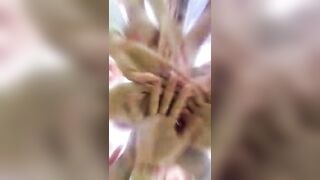 Thank You for 3 Years of INEA • YOGA • Celebrating Life Together