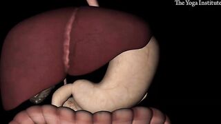 How to Control your Daibetes I Yoga for managing Daibetes I Dr. Hansaji