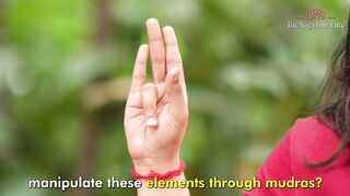 How to Control your Daibetes I Yoga for managing Daibetes I Dr. Hansaji