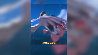 A group of ducks were unexpectedly practicing yoga.#shorts #animation