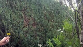 TRY-On ASMR Lingerie in Garden | Lookbook Chilling | Part-2 with Miss Mystery