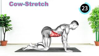 Stretching Exercises At Home - Pelvic floor stretches