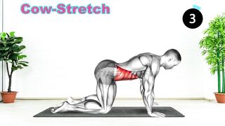 Stretching Exercises At Home - Pelvic floor stretches