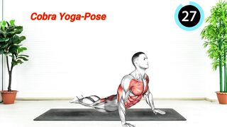 Stretching Exercises At Home - Pelvic floor stretches