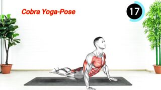 Stretching Exercises At Home - Pelvic floor stretches