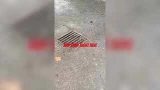 Sherwin Williams Super Deck Transparent Natural