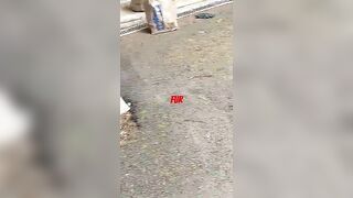 Sherwin Williams Super Deck Transparent Natural