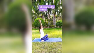 Gomukhasana l #yoga #yogapractice #shorts #youtubeshorts #viral #short #health #meditation #stress