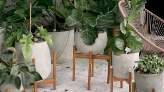 Marcella Bikini Pool - Tomart Reborn