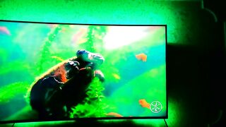 Flexible light tape for TV lighting for $3 from AliExpress