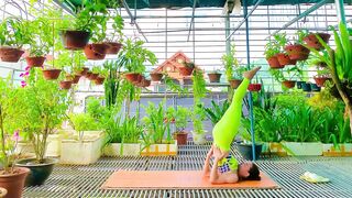 Home Workout and Stretching, Leg Stretching for Beginners