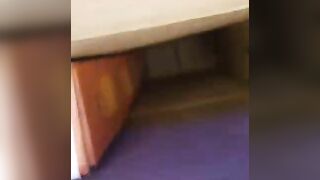 Tygot T-220 MT Portable & Flexible Mini Tripod Tripod, Tripod Kit ❣️for mini vlogs # mini vlogs #yt