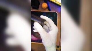 Tygot T-220 MT Portable & Flexible Mini Tripod Tripod, Tripod Kit ❣️for mini vlogs # mini vlogs #yt